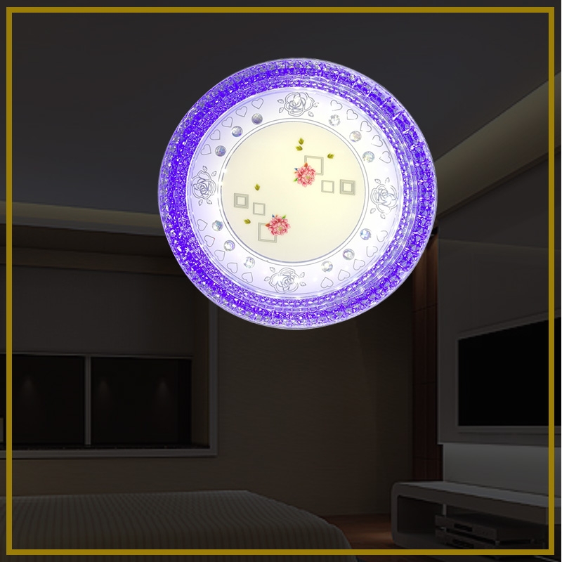 DS-6002花