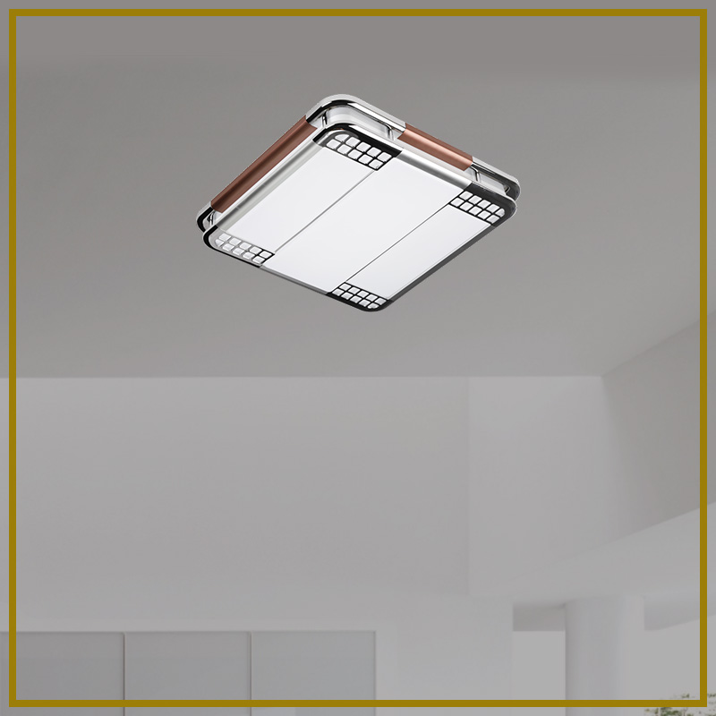 DS-9018small