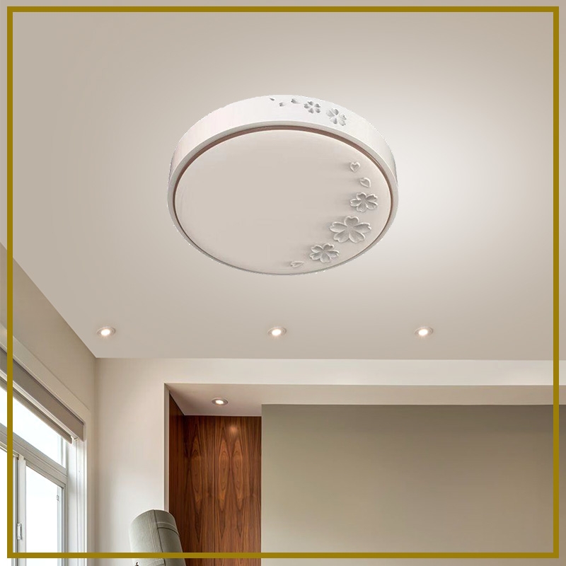 DS-M1-248circle