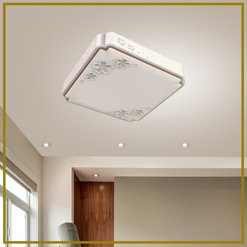 DS-M1-248square