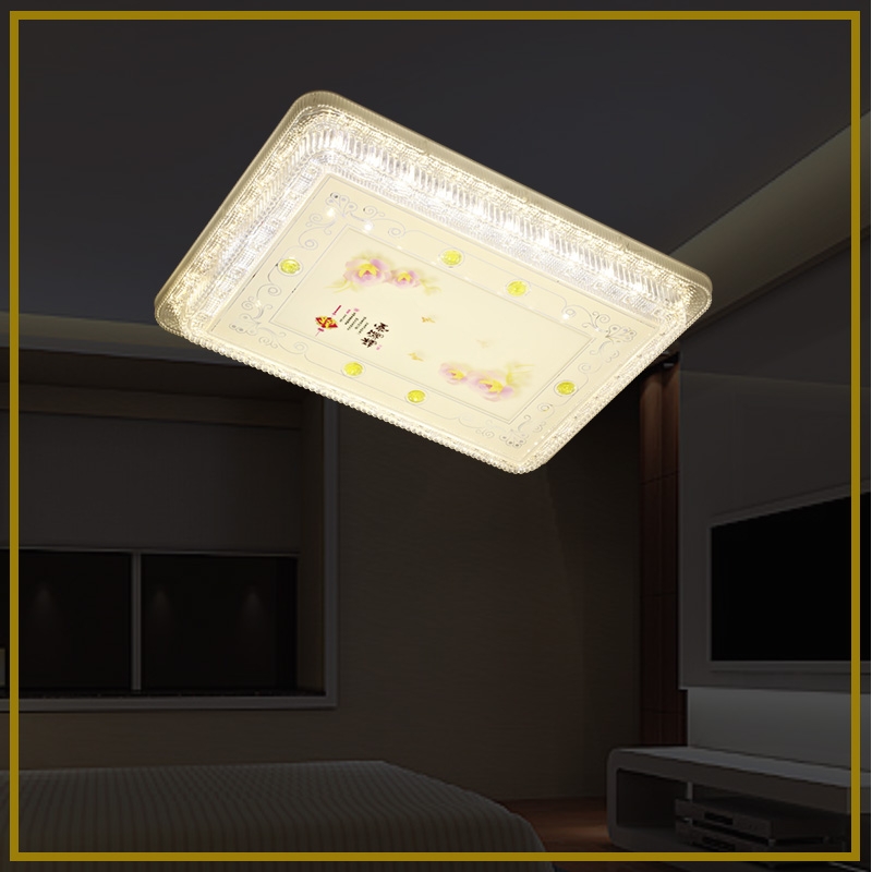 DS-6009small square