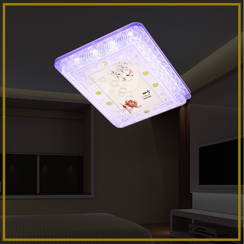 DS-6008small square