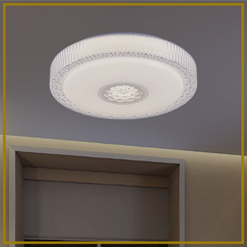 DS-907-2white